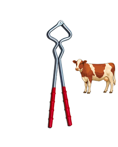 ที่จับจมูกวัว Surtechs Bull Ring Holder อุปกรณ์ควบคุมปศุสัตว์สำหรับสัตวแพทย์ - Product Image 1
