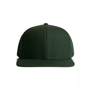 Gorra Unisex de 6 Paneles con Cierre a Presión, Color Verde Sólido, Algodón, Ajustable, Estilo Casual, para Adultos, Uso en las Cuatro Estaciones - Product Image 2