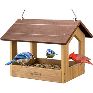 Plataforma de Alimentación para Pájaros Aqudus Saleem AS-CW013, Moderna, Ecológica y de Pie, Venta al Por Mayor |   Diseño sin deformaciones - Product Image 2