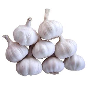 Ail blanc frais de récolte propre, offert avec des bulbes triés et un emballage protecteur pour les importateurs à la recherche de sources alimentaires - Product Image 1