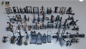 Projet clé en main de centre de remise en forme SK dans un centre commercial, équipement de gym haut de gamme, ensemble complet pour l'entraînement de force et cardio. - Product Image 6