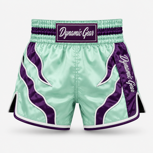 Shorts de boxe Muay Thai de nouvelle conception, logo personnalisé, shorts de combat légers pour hommes, shorts Muay Thai confortables - Product Image 3