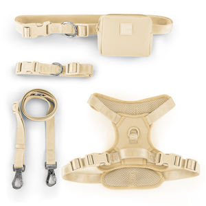 Suministros de verano para mascotas al aire libre: Chaleco reflectante nocturno con correa para perro, arnés de malla transpirable para gato, correa de pecho de nailon estampada suave al por mayor - Product Image 2