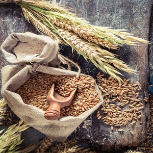 Graines de blé dur séchées de haute qualité pour la production commerciale de pâtes et la transformation alimentaire constante pour les besoins agricoles - Product Image 5