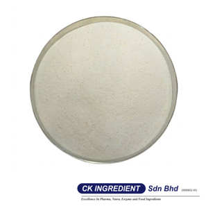 Top Sale Lemon Juice Powder Premium Quality Halal OEM B2B <b>Best</b> Supplier Guarantee Vitamin C Detox Drink Seasoning Ingredient - Product Image 3