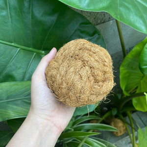 Jouet à mâcher pour chien en forme de boule de noix de coco, écologique, en fibre de coco naturelle, corde durable, jouet pour animaux de compagnie pour nettoyer les dents - Product Image 4