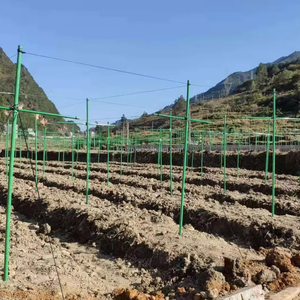 Venta al por mayor de fábrica, tubos FRP pultruidos UV, postes de fibra de vidrio de fieltro para estacas de soporte de árboles frutales de pasión - Product Image 1