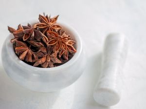 Anis étoilé séché de qualité supérieure, entier/grand format, à faible taux de brisures - Product Image 3