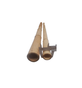 Varas de Bambú Ecológicas Crudas de Origen Vietnamita para Fabricación de Muebles, Sistemas de Soporte Agrícola, Construcción de Jardines y Edificios - Product Image 3