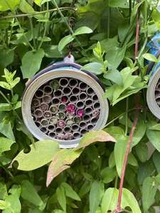 หลอดรังแมลงย่อยสลายได้ Eco2go เวียดนาม ทำจากไม้ไผ่ 100% สำหรับบ้านแมลงขนาดเล็กและตกแต่งสวนสัตว์ป่า - Product Image 5