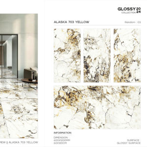 Azulejo de Porcelana Brillante Grandy 600x1200, Formato Grande, Superficie Pulida Premium, para Pared y Suelo, Diseño Moderno para Interiores y Exteriores Plus - Product Image 1