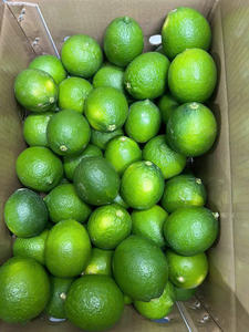 Citron/lime frais sans pépins, qualité supérieure, grade 1 : fruits de grande taille, brillants, peau fine, beaucoup de jus / Mme Lima - Product Image 5
