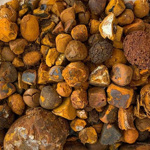 Cálculos Biliares Naturales de Vaca, Cálculos Biliares de Buey, Cálculos Biliares de Ganado, Piedras Completas, Extracto Animal Premium, Suministro al por Mayor - Product Image 5