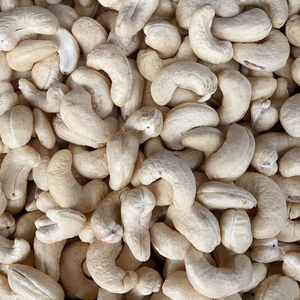HACCP Certificate Cashew SP Cashew Nuts Customized Packing Free Print Logo From Santigo - Product Image 1