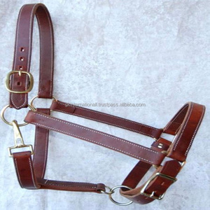 Brown Premium English Saddle Leather horse <b>halter</b> in all custom sizes and colors with strong edge stitching and brass fittings - Product Image 4