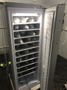 Machine à glaçons verticale BD-198 198L commerciale solaire - Double compresseur, 10 couches avec réfrigérant R134a 24V - Product Image 2