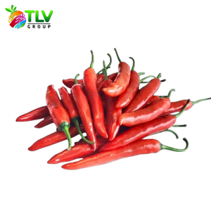 Servicio de Procesamiento ODM de Hierbas Frescas al por Mayor: Albahaca Individual, Especia del Grupo TLV, Ben Tre, Vietnam - Product Image 4