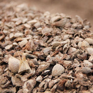 Cáscara de Palma Seca de Buena Calidad 2026 a Precios Económicos, Servicio OEM/ODM de Marca Personalizada, Venta Directa de Fábrica con 2 Años de Vida Útil, Envío a Todo el Mundo - Product Image 2