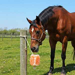 Eco-Friendly Himalayan <b>Crystal</b> Salt Lick Rope Block 2kg for Livestock and Wildlife Nutrition - Product Image 3