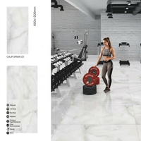 24x48 Calacata Pearl Glossy 60x120 Glacé Poli 600x1200mm Porcelaine 2x4 Sol Céramique Carreaux Vitrifiés Extérieur Intérieur Utilisation