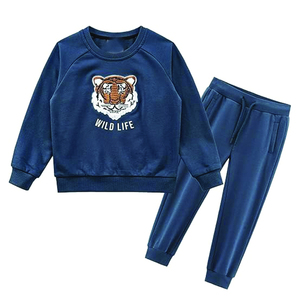 Conjunto de chándal de 2 piezas para niños personalizado al por mayor, Conjunto de sudadera con capucha y pantalones de chándal para correr, conjunto de ropa para niños - Product Image 2