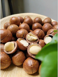 Nueces de Macadamia Tostadas Crujientes con Cáscara, Sabor Natural para Compradores Mayoristas - Product Image 3