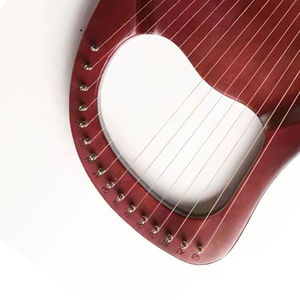 Fagot de Palisandro de 16 Cuerdas de la Mejor Calidad, Modelo GTE-MH-03216, Servicio OEM/ODM con Logotipo y Color Personalizados, Nuevo - Product Image 4