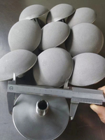 Disque d'aération en titane à diffusion d'ozone pour le mélange de gaz ozone et d'eau dans les eaux usées, directement de l'usine