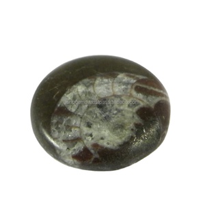 Gema Natural de amonita marrón para hacer joyería, cabujones redondos de 22mm, 4,45 gms, Gema suelta hecha a mano - Product Image 4
