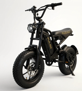 Bicicleta Eléctrica Personalizada de 500W 48V con Acelerador, Bicicleta Eléctrica Híbrida de Montaña para Niños, para Aventuras - Product Image 4
