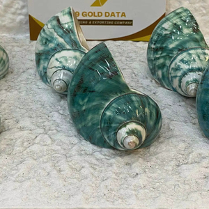 Anillo para Servilletas con Temática Oceánica, Decoración para Mesa de Banquete de Hotel, Porta Servilletas Hecho a Mano en Vietnam con Diseño de Caracol y Concha - Product Image 1