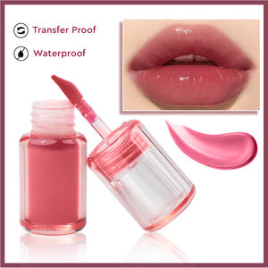 Lápiz Labial Líquido con Acabado Tintado Efecto Húmedo Plum Pop Gloss, Directo de Fábrica - Product Image 6