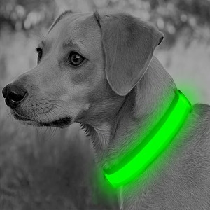 Collar LED para perro, ajustable, luminoso, recargable por USB, con luz intermitente de seguridad para visibilidad nocturna, varios colores, antipérdida. - Product Image 3