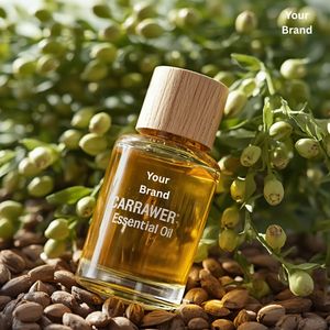 ODM OEM of Pure Caraway <b>Essential</b> <b>Oil</b> Natural Caraway <b>Essential</b> <b>Oil</b> Steam Distilled Caraway <b>Oil</b> Caraway Seed <b>Essential</b> <b>Oil</b> - Product Image 4