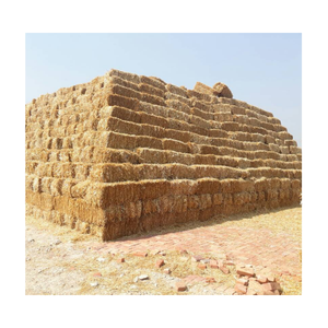 Nutrient-Rich Dried Wheat Straw Bedding Packaged <b>Bags</b> Optimal Animal Feed Use Super Grade 24-Month Shelf Life for Cattle <b>Pigs</b> - Product Image 6