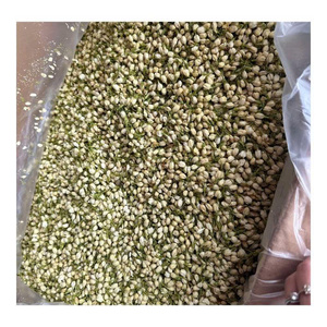 Té de Jazmín Fresco en Hojas Sueltas, Orgánico y Saludable, a Granel para Mezclas de Té, Certificado Halal, en Caja de Regalo - Product Image 5