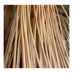 Fournisseur en gros de rotin naturel de haute qualité du Vietnam pour la fabrication artisanale de meubles, le tissage et les applications décoratives - Product Image 6