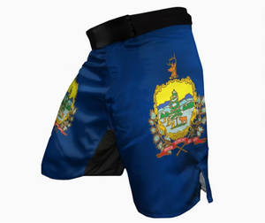 Shorts MMA personnalisés pour hommes, séchage rapide, arts martiaux mixtes, design sublimation bleu-gris, logo avant - Product Image 6