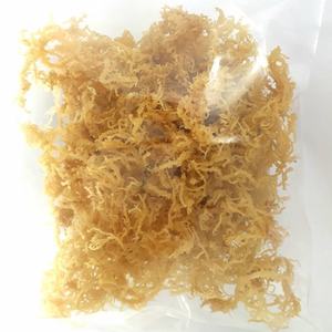 MUSGO MARINO ORGÁNICO NATURAL/ SECO/ ALGAS MARINAS DORADAS Y MORADAS SECAS DE VIETNAM/ PROCESAMIENTO EN BOLSA/ Sra. Lily - Product Image 1