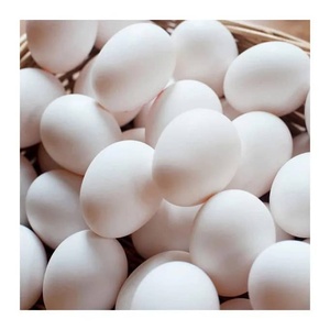 Huevos de Gallina Blancos Congelados/Frescos de Bajo Precio, Origen Francia, 24 Meses de Vida Útil, Entrega Rápida, En Stock - Product Image 1