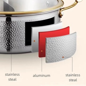 Ollas Modernas y Elegantes de Metal con Tapa de Vidrio, Diseño Ecológico para Uso en el Hogar, Hoteles y Restaurantes - Product Image 3