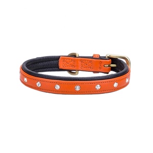 Collar de perro de cuero naranja de calidad superior con tachuelas de cristales y acolchado suave Proveedor y fabricante Saman Exports - Product Image 4