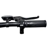 Vente directe d'usine, vélo électrique pliable à cadre en acier de 14 pouces, pneus anti-crevaison, moteur sans balais 250/500W, batterie au lithium