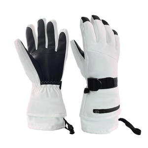 Breathable Wholesale Skiing Sports <b>Glove</b> Touch Screen Custom Adult Spandex/Cotton Snow Snowboard Women Warm Waterproof Winter - Product Image 1