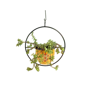 Plantas en maceta al por mayor con marco colgante redondo de metal, maceta de metal de diseño moderno, decoración de interiores, macetas en oferta - Product Image 4