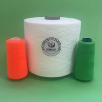 Fil à broder et à coudre 100 % polyester filé TFO blanc brillant, haute ténacité, écologique, vente en gros du fabricant chinois