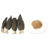 Boisson santé à base de poudre de champignons morilles