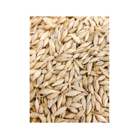 Cebada para Alimentación Animal, Natural, Orgánica, de Primera Calidad, en Bolsas de 50 Kg, Semillas de Cebada, Grano de Cereal