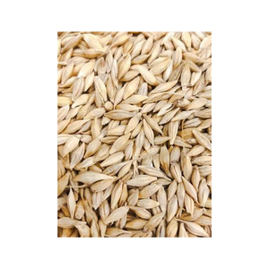 Algue de blé en gros, naturelle, biologique, première qualité, pour l'alimentation animale, emballage sac de 50 kg, graines d'algue de blé, céréale - Product Image 5