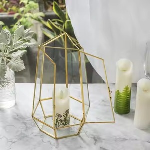 Terrarium moderne en verre et métal, boîte de présentation décorative pour plantes d'intérieur, décoration de la maison - Product Image 1
